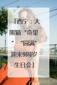 西宁：大熊猫“奇果”“园满”迎来9周岁生日会