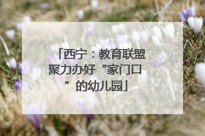 西宁：教育联盟聚力办好“家门口”的幼儿园
