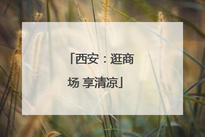 西安：逛商场 享清凉