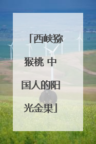 西峡猕猴桃 中国人的阳光金果