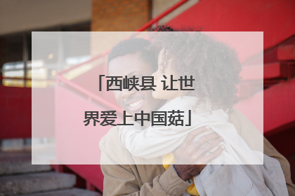 西峡县 让世界爱上中国菇