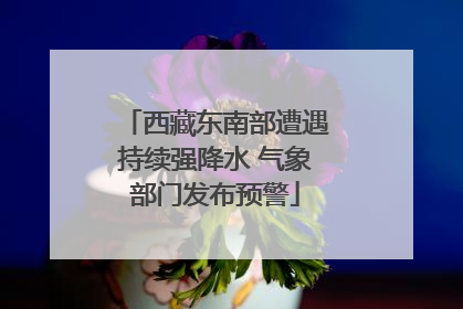西藏东南部遭遇持续强降水 气象部门发布预警