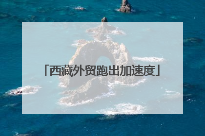 西藏外贸跑出加速度