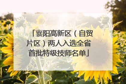 襄阳高新区（自贸片区）两人入选全省首批特级技师名单