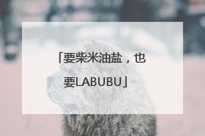 要柴米油盐，也要LABUBU