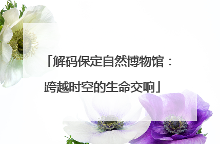 解码保定自然博物馆：跨越时空的生命交响
