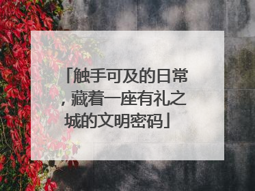触手可及的日常，藏着一座有礼之城的文明密码