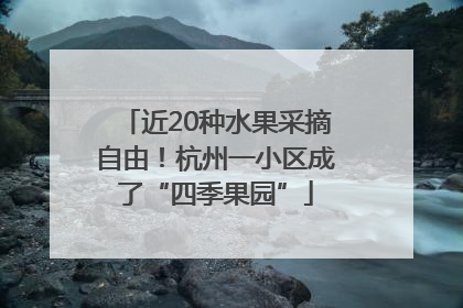 近20种水果采摘自由！杭州一小区成了“四季果园”
