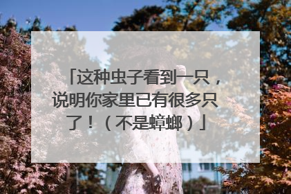 这种虫子看到一只，说明你家里已有很多只了！（不是蟑螂）