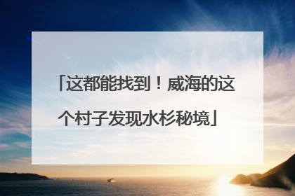 这都能找到！威海的这个村子发现水杉秘境