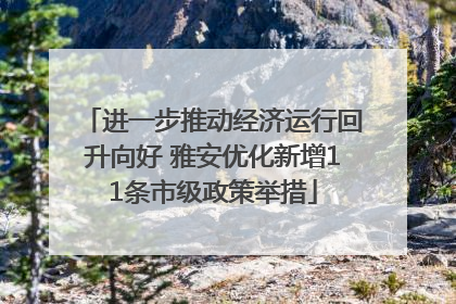 进一步推动经济运行回升向好 雅安优化新增11条市级政策举措