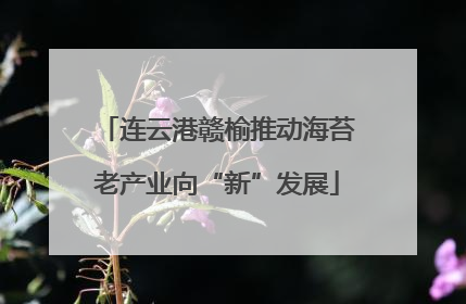 连云港赣榆推动海苔老产业向“新”发展