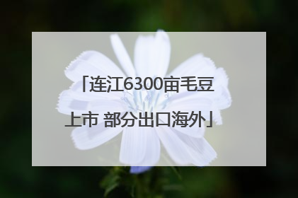 连江6300亩毛豆上市 部分出口海外