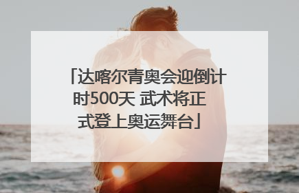 达喀尔青奥会迎倒计时500天 武术将正式登上奥运舞台