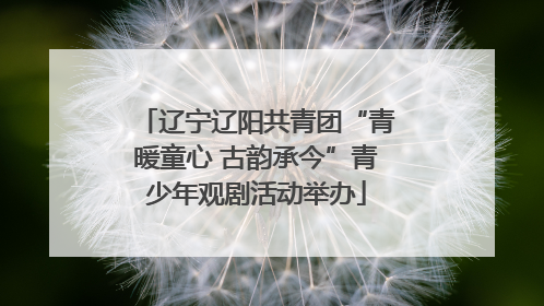 辽宁辽阳共青团“青暖童心 古韵承今”青少年观剧活动举办