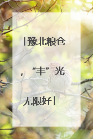 豫北粮仓，“丰”光无限好
