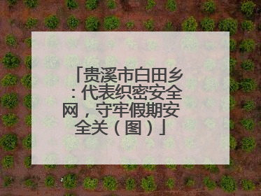 贵溪市白田乡：代表织密安全网，守牢假期安全关（图）