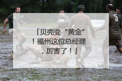 贝壳变“黄金”！福州这位总经理，厉害了！