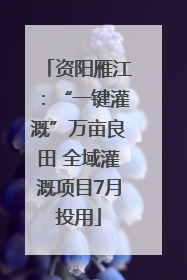资阳雁江：“一键灌溉”万亩良田 全域灌溉项目7月投用