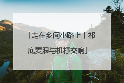 走在乡间小路上丨祁底麦浪与机杼交响