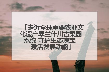 走近全球重要农业文化遗产皋兰什川古梨园系统 守护生态瑰宝 激活发展动能