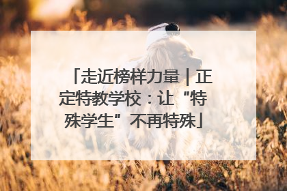 走近榜样力量｜正定特教学校：让“特殊学生”不再特殊