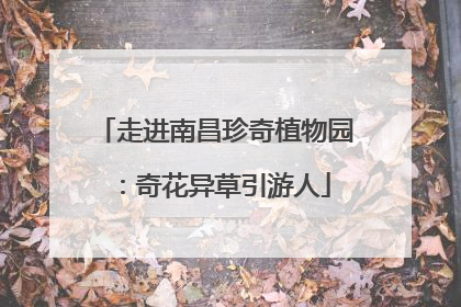 走进南昌珍奇植物园：奇花异草引游人