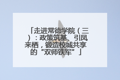 走进常德学院（三）：政策筑基、引凤来栖，锻造校城共享的“双师铁军”