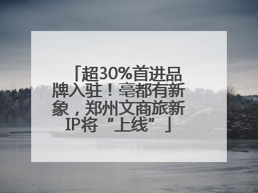 超30%首进品牌入驻！亳都有新象，郑州文商旅新IP将“上线”