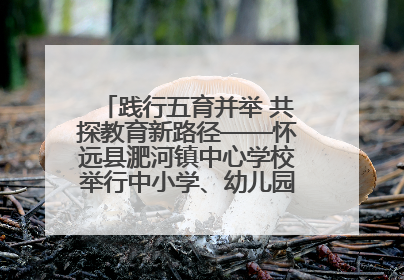 践行五育并举 共探教育新路径——怀远县淝河镇中心学校举行中小学、幼儿园班主任论坛活动