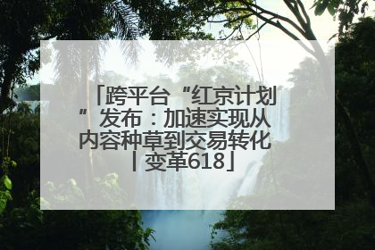 跨平台“红京计划”发布：加速实现从内容种草到交易转化丨变革618