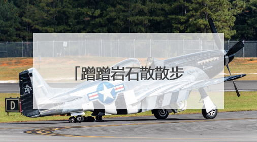 蹭蹭岩石散散步 祁连山拍到雪豹和豺撒欢画面
