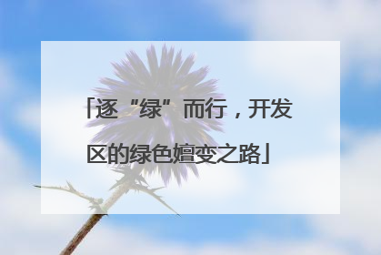 逐“绿”而行，开发区的绿色嬗变之路