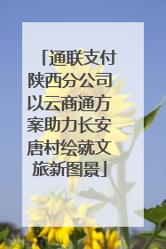通联支付陕西分公司以云商通方案助力长安唐村绘就文旅新图景