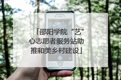 邵阳学院“艺”心志愿者服务站助推和美乡村建设