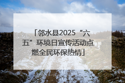 邻水县2025“六五”环境日宣传活动点燃全民环保热情