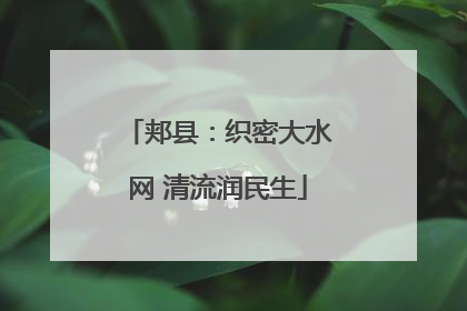 郏县：织密大水网 清流润民生