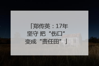 郑传英：17年坚守 把“伤口”变成“责任田”