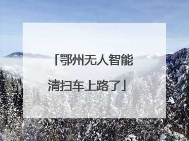 鄂州无人智能清扫车上路了