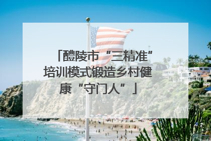 醴陵市“三精准”培训模式锻造乡村健康“守门人”
