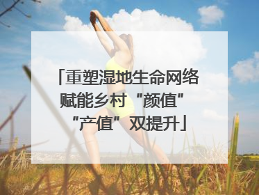 重塑湿地生命网络 赋能乡村“颜值”“产值”双提升