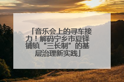音乐会上的寻车接力！解码宁乡市夏铎铺镇“三长制”的基层治理新实践