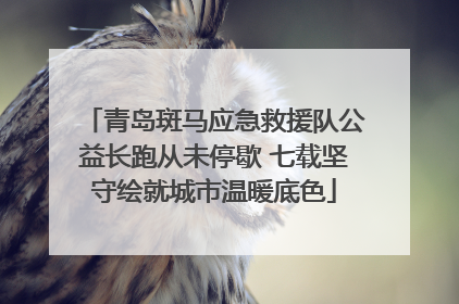 青岛斑马应急救援队公益长跑从未停歇 七载坚守绘就城市温暖底色