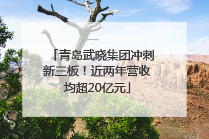 青岛武晓集团冲刺新三板！近两年营收均超20亿元