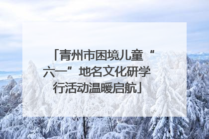 青州市困境儿童“六一”地名文化研学行活动温暖启航