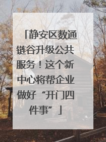 静安区数通链谷升级公共服务！这个新中心将帮企业做好“开门四件事”