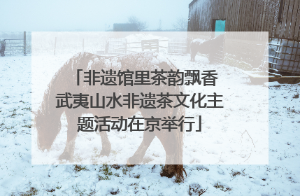 非遗馆里茶韵飘香 武夷山水非遗茶文化主题活动在京举行