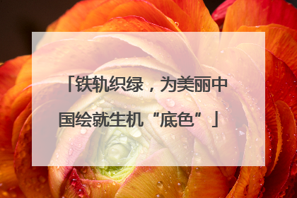 铁轨织绿，为美丽中国绘就生机“底色”