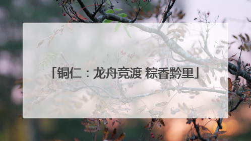 铜仁：龙舟竞渡 粽香黔里