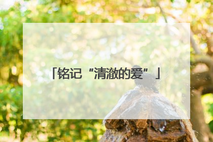 铭记“清澈的爱”